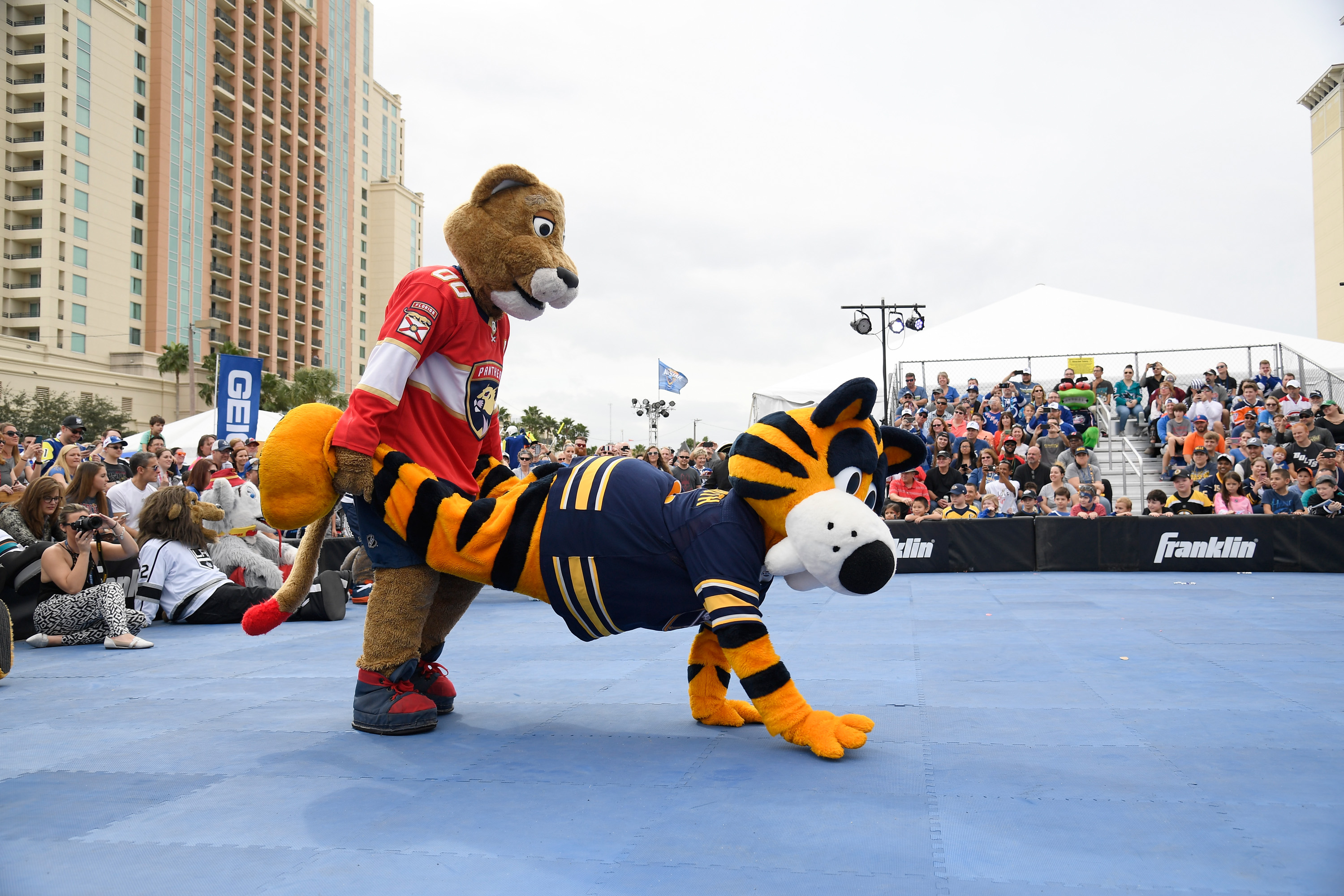 Buffalo Sabres Hockey Sabretooth Mascot Costume