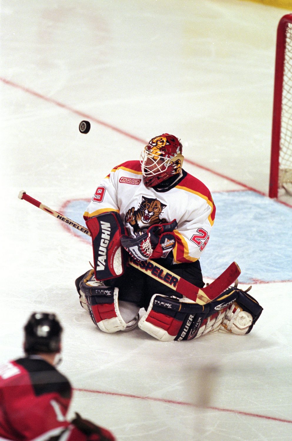 Mike Vernon, NHL Wiki